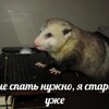 Логотип телеграм канала @ebytvo4ko — Бедное солнце😔 18 
