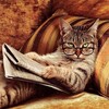 Логотип телеграм канала @erma_com — Пошлые и непристойные истории. 14.8