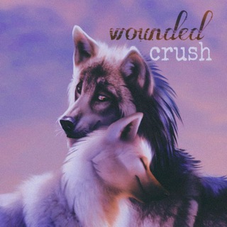 Telegram channel ~ 𝒘𝒐𝒖𝒏𝒅𝒆𝒅`ᥫ᭡𝐂𝐫𝐮𝐬𝐡💜 logo