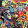 Telegram channel Psychedelicslide🤪👻🗺🧿 logo