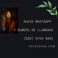 Telegram channel Pamplona Spa logo