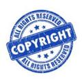 Telegram channel CopyRight Course Leaks logo