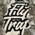 Telegram channel Flytrap Gumbo🪰🪤 logo