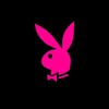 Telegram channel PLAYBOY👯‍♀️ logo
