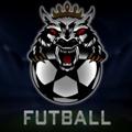 Telegram channel Football logo