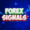 Telegram channel TRADING SIGNALS 🚀 FOREX SCALPING logo