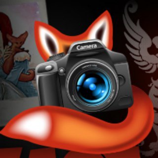 Telegram channel 🦊 Фотолиса: сиськи и чудеса logo