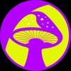 Logo of telegram channel fungolive — 🚨 Fungo Live 🚨
