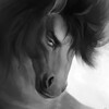Telegram channel Furry Horses / NSFW (Yiff) 18  logo