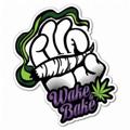 电报频道的标志 fxy420 — 飞行园420®️