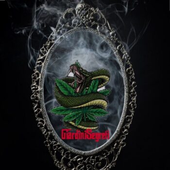Telegram channel Erogasm logo