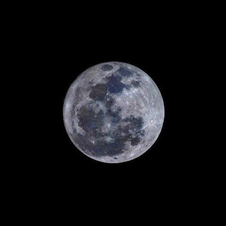 Telegram channel Selenophile🌙 logo