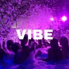 Telegram channel VIBE 💦 logo