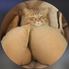Telegram channel 🔥 HOT TIKTOK SEXY GIRLS logo