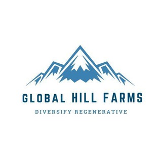 Telegram channel Globalhillfarm logo