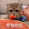 电报频道的标志 goaxiaochigua — 吃瓜|搞笑视频|色情