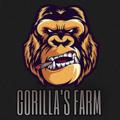 Telegram channel GORILLA's FARM🏴‍☠️🇮🇹🇪🇦 logo