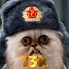 Telegram channel 𝕍𝕔 𝕤𝕠𝕙 𝕘𝕠𝕤𝕥𝕒 𝕕𝕖 ℙ𝕠𝕣𝕔𝕒𝕣𝕚𝕒𝕤 logo