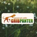 Логотип телеграм канала @gribpanter — Gribpanter™ - Интернет магазин мухоморов и этноботаники.