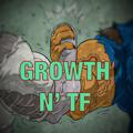 Logo of telegram channel growntransform — Growth n TF {18 }