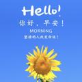 电报频道的标志 gz168168 — 广州外围（小花花）