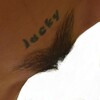 Логотип телеграм канала @hairypussyporn — 🔞Волосатые киски