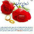 لوگوی کانال تلگرام halallseghe — موسسه صیغه و نکاح حلال تبیان