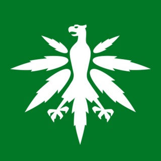 DHV - Hanfverband News - Telegram Channels