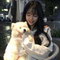电报频道的标志 heikahui00 — 欧美洛杉矶旧金山西雅图多伦多伦敦迪拜新加坡韩国日本高端外围