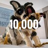 Telegram channel horny fursuits logo