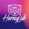 Logo of telegram channel hornylab — HornyLab 18 