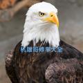 电报频道的标志 hzcj688 — 杭雕哥 杭州修车 大中小圈全覆盖