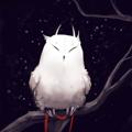 Telegram channel FSG OWL FAMILY | i.iowl logo