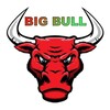 Telegram channel 🏆 BIG BULL OFFICIAL 🏆 logo