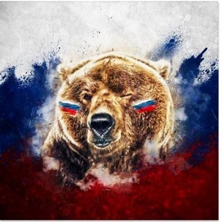 Telegram channel *Z*《ИНФАСС》*Z* logo