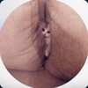 Telegram channel DASHA DOSHIK AVRORKA XDSHKA MASHERA logo