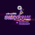 Telegram channel SHADOW - VPN🔒 logo