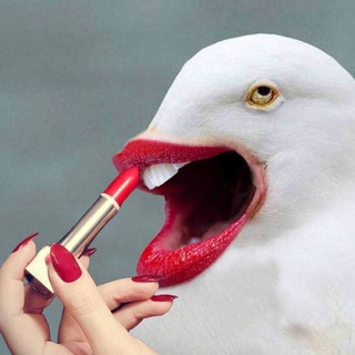 Telegram channel i want to pee pee logo