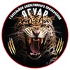 Telegram channel Працює батальйон "ЯГУАР" logo