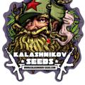 Telegram channel 🍁Kalashnikov Seeds🍁 logo