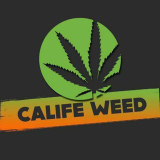Logo de la chaîne Telegram kalifweeed — KALIF WEED 🤯🛑🇲🇦🇳🇱🇺🇲🇪🇸