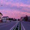 Логотип телеграм канала @kaliklove — в калике любят
