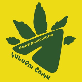 Logo of telegram channel kanachushuka_nor — Կանաչու Շուկա
