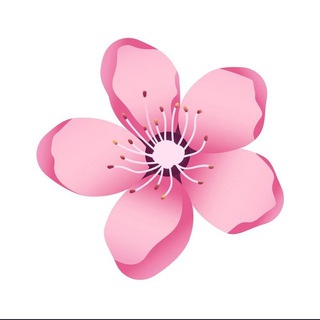 电报频道的标志 kangqiao0182722878 — Sakura🌸樱花🌸休闲中心 02