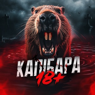 КАПІБАРА | 18  - Telegram Channels