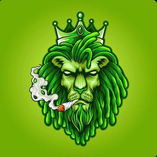 Telegram channel King guns shop logo