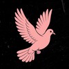 Telegram channel Kinky Doves – БДСМ Знакомства logo