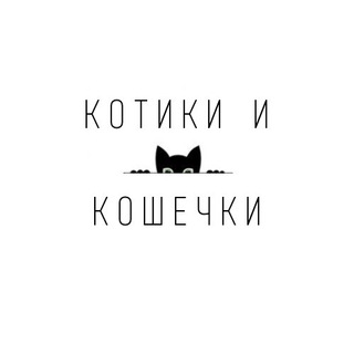 Telegram channel Котики и Кошечки logo