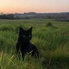 Логотип телеграм канала @kittyloxx — Пристанище для заблудших душ — желтое небо,которое я нарисовал мелками.