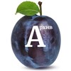 Telegram channel Конструктив Архив logo